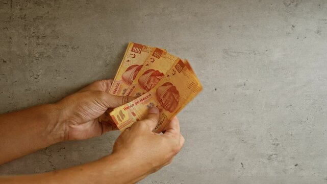 Hands holding multiple mexican 100 peso bills against a concrete background, showcasing the man's fingers and the colorful currency.