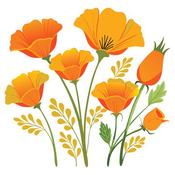 california poppies vector style white background