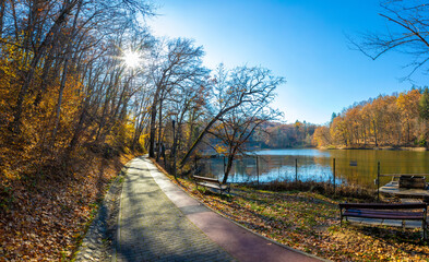 An alley around Lake Ursu (Bear lake) in Sovata resort - Romania in autumn