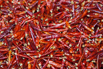red dry chili pepper as food background