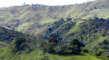 El medio ambiente es el respeto por la naturaleza 
