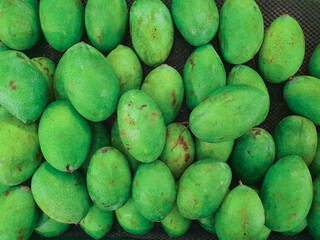 Mango green color background. Pile of green mangoes fruit in market.