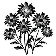 daisies set flower vector illustration