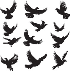 Obraz premium Flying Bird Silhouettes Bundle Design, black and white silhouettes featuring various birds in flight, flying bird vector Bundle