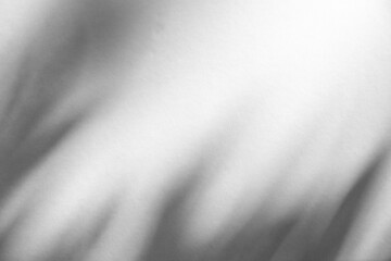 Wall interior background, studio and backdrops show products.with shadow from window color white and grey. background for text insertion and presentation product