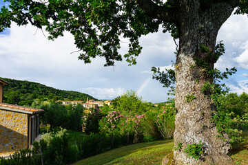 Fototapeta premium Toskana - Sonnenuntergang
