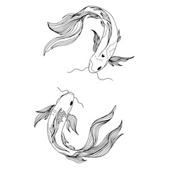 Illustration of fishes