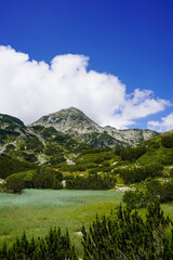 Fototapeta premium Pirin National Park, Bansko, Bulgaria