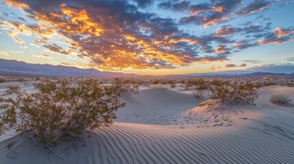 Fototapeta premium Soft colors fill the desert sky at sunset, with sand dunes casting shadows under a golden glow.