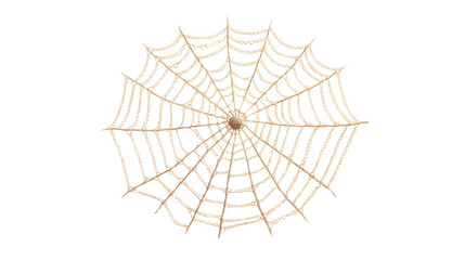 Fototapeta premium A detailed spider web captured against a transparent background, showcasing its intricate design and structure.