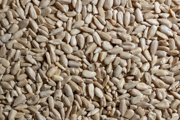 Peeled Sunflower Seeds Background: A Culinary Canvas of Shell-free Sunflower Seeds, Creating a Lively and Textured Background for Gourmet Cooking - Top View, Flat Lay