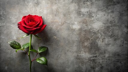 A solitary red rose against a weathered backdrop, a symbol of love and beauty, evokes a sense of tenderness and resilience.