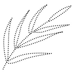 leaves tracing line