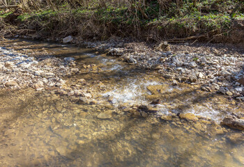 the river in the spring of the year, a slow flow along a shallow riverbed