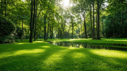 Obraz premium Lush green forest with sunlight filtering through trees, reflecting on calm water, creating a serene atmosphere.