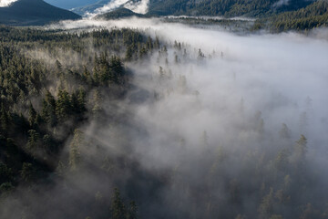 Beautiful aerial drone landscape with clouds over evergreen forests and mountains, captured early morning right after sunrise, in Mount Hood-Lost Lake territory, Oregon