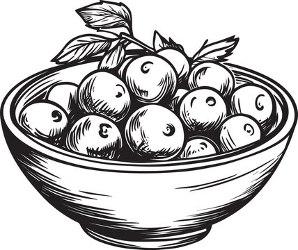 black and white bowl of berries clip art preview