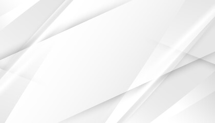 Fototapeta premium Abstract Elegant white and grey Background