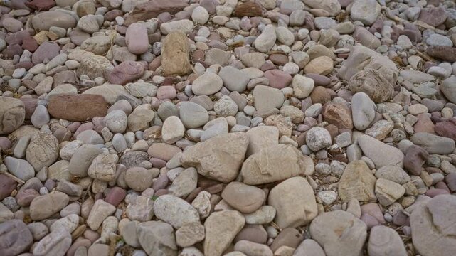 Natural riverbed scene filled with multicolored rocks and pebbles in an outdoor setting, highlighting textured stones and diverse geological formations.