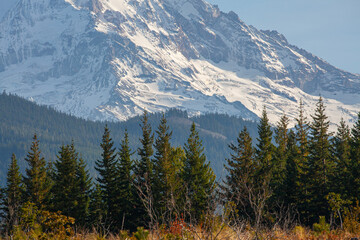 Oregon's icon and the tallest peak of Mount Hood, captured from Hood River, OR, during fall season at golden hour. High quality picture for download.
