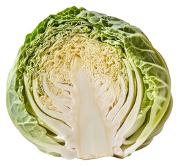 Obraz premium PNG Cabbage vegetable cabbage produce.