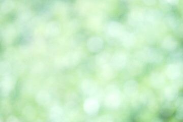 Obraz premium Soft focus Green Pastel Abstract bokeh background Glittering aesthetic textured pattern