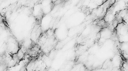White Marble Texture with Black Veins