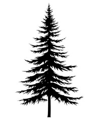 Obraz premium Christmas Tree Transparent Silhouette