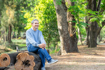 portrait senior man with grey hair sitting in nature,elderly lifestyle,travel,relaxation