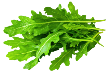 Fresh and nutritious arugula discover the benefits of adding this leafy green to your diet transparent background