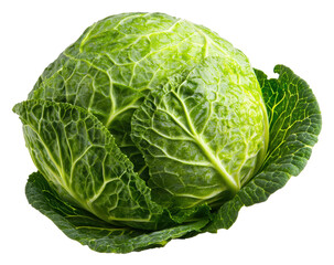 Fototapeta premium Explore the nutritional benefits and culinary uses of fresh green cabbage for a healthier lifestyle transparent background