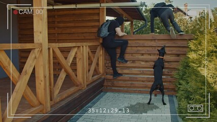 Surveillance Footage Shows. A Guard Dog Chases and Catches Masked Burglars Fleeing a Private Home by Climbing Over a Fence. Concept of Home Security with Dogs. AI Analytics of Attacker Behavior
