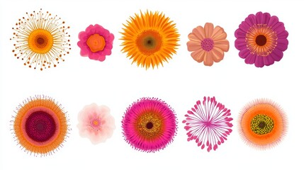 Fototapeta premium Vibrant Floral Collection Top View of Diverse Blooming Flowers