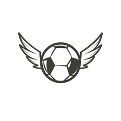 soccer ball with wings