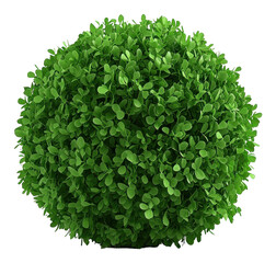 Fototapeta premium Explore the vibrant beauty of lush green plants that enhance any landscape and interior design transparent background