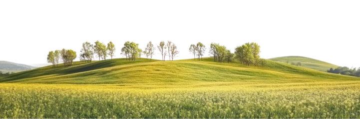 PNG Hilly spring fields landscape outdoors scenery.