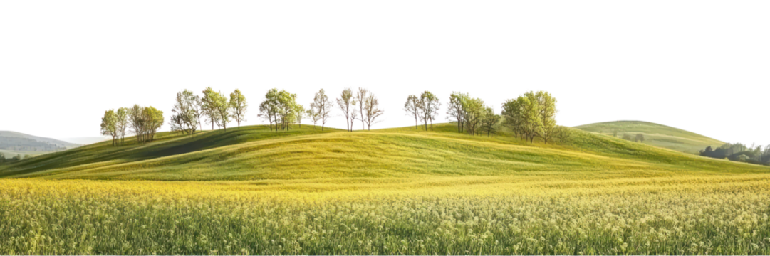 PNG Hilly spring fields landscape outdoors scenery.