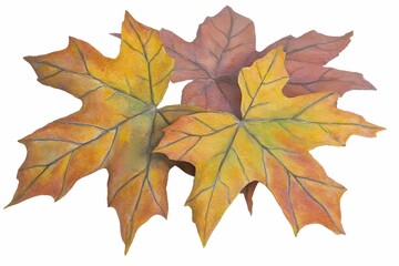 Obraz premium Detailed Golden Maple Leaf in Autumn Tones