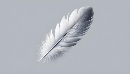 PNG Feather feather white background lightweight.
