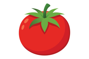 3d tomato vector illustration on a white background