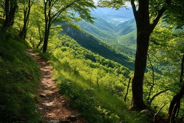 Fototapeta premium A majestic mountain with rugged peaks, lush green forests, and winding hiking trails. The path is lined with wildflowers, leading to breathtaking views of valleys and distant horizons.