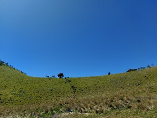 Obraz premium landscape with blue sky In Merbabu Mountain Sabana 2