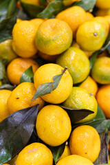 fresh market ripe healthy sweet raw vegetarian fruit juicy background food organic citrus