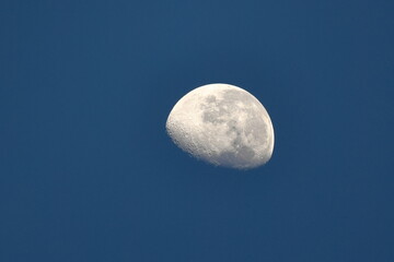Moon in the early morning