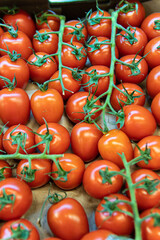 vegetable organic tomato nature food raw agriculture vegetarian produce market red juicy fresh