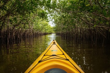 Fototapeta premium Kayaking journey across the mangrove marshes of the everglades