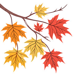 Fototapeta premium autumn leaves isolated on white