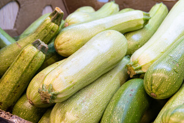 vegetarian green ripe vegetable courgette nutrition healthy food object fresh zucchini raw