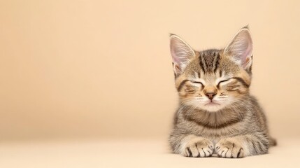 Cute Tabby Cat with Closed Eyes on Beige Background