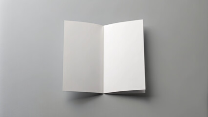 Open Brochure With Blank Pages.